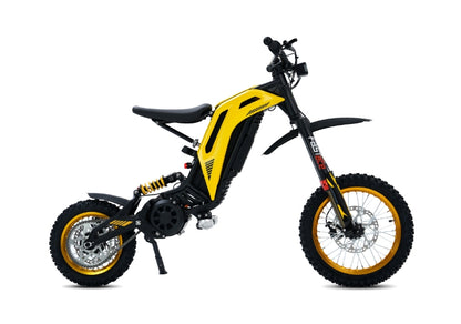 Viper S Electric Dirt Bike